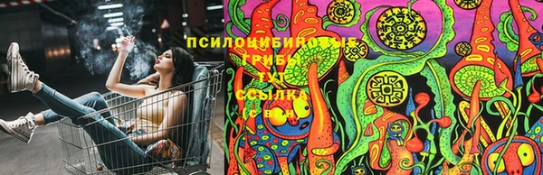 apvp Богородск
