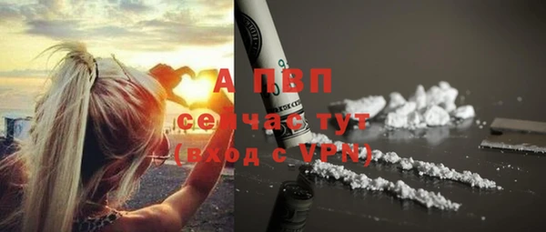 мяу мяу мука Богданович