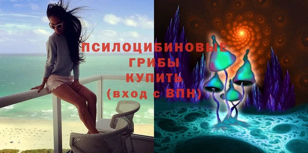 мяу мяу мука Богданович